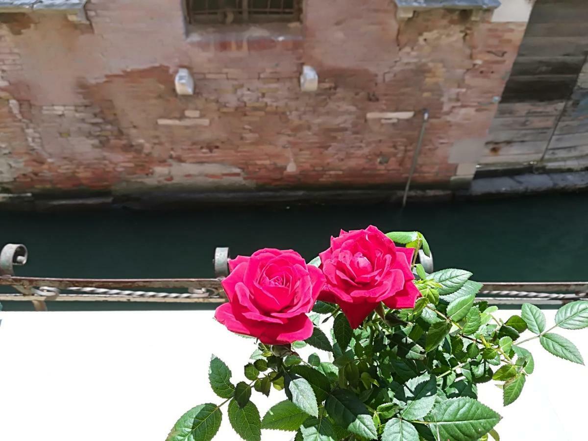 Santacroce Apartament